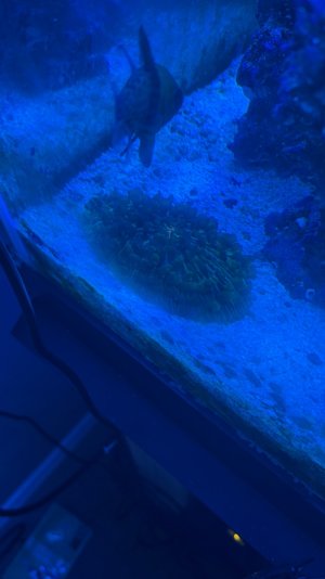 IMG_4164.jpeg