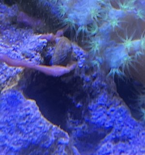 IMG_5350.jpeg