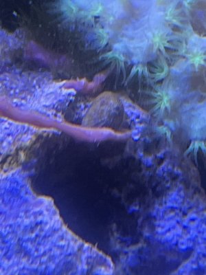 IMG_5349.jpeg