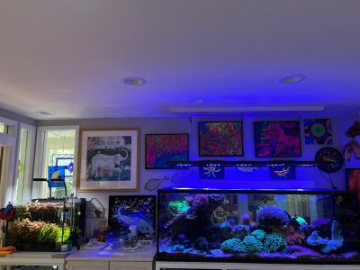 IMG_6913.jpeg
