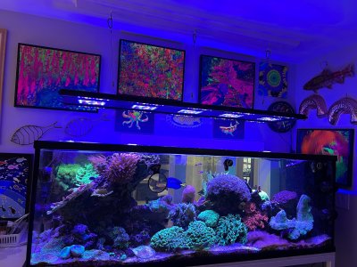 IMG_6915.jpeg