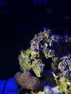IMG_4495.jpeg IMG_4495.jpeg