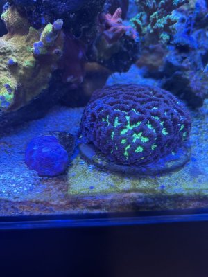 IMG_4515.jpeg IMG_4515.jpeg