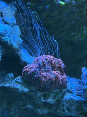 IMG_5002.jpeg