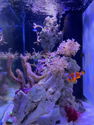 IMG_0487.jpeg
