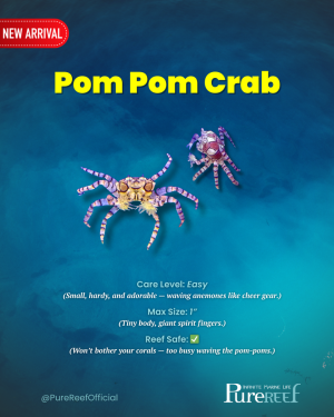 Copy of PR Fish Profile Template.zip - 2.png