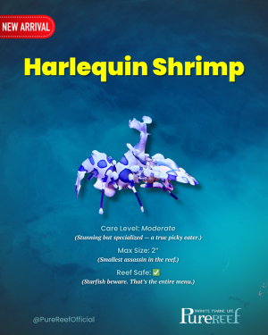 Copy of PR Fish Profile Template.zip - 3.png