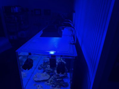 IMG_2539.jpeg