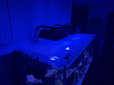 IMG_2538.jpeg