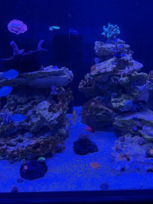 IMG_2532.jpeg