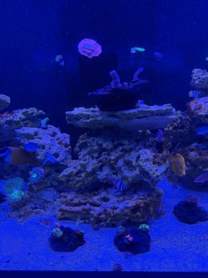 IMG_2533.jpeg