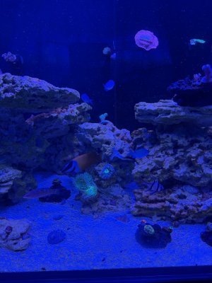 IMG_2534.jpeg
