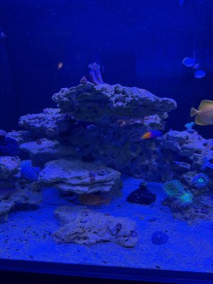 IMG_2535.jpeg