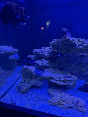 IMG_2536.jpeg