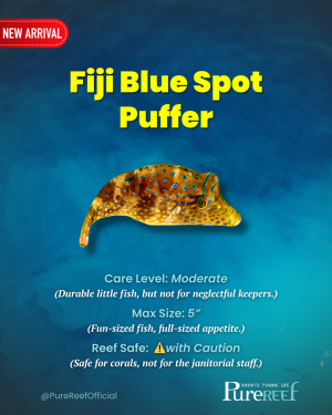 PR Fish Profile.zip - 5.png