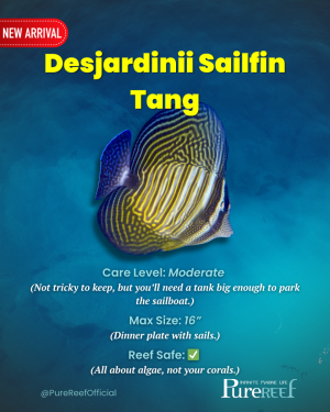 PR Fish Profile.zip - 8.png
