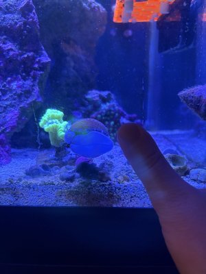 IMG_4646.jpeg