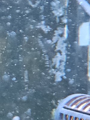 1000004660.jpg