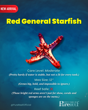 PR Fish Profile.zip - 2.png