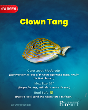 PR Fish Profile.zip - 3.png