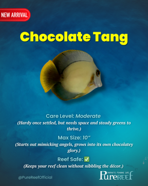 PR Fish Profile.zip - 6.png