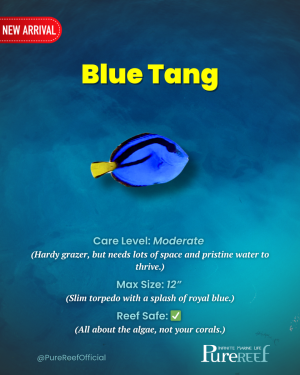 PR Fish Profile.zip - 8.png