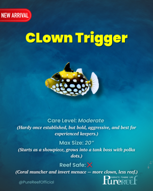 PR Fish Profile.zip - 10.png