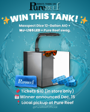 Raffle IG.png