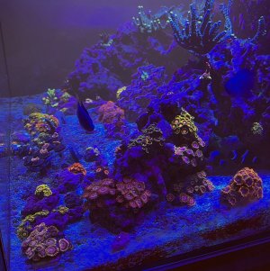 2025-09-19 09.19.35.jpg