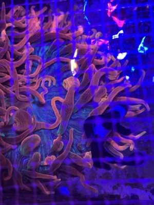 IMG_1237.jpeg