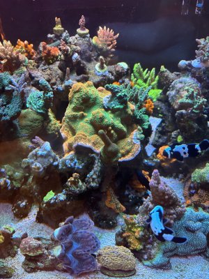 IMG_5080.jpeg