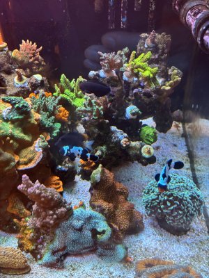 IMG_5081.jpeg