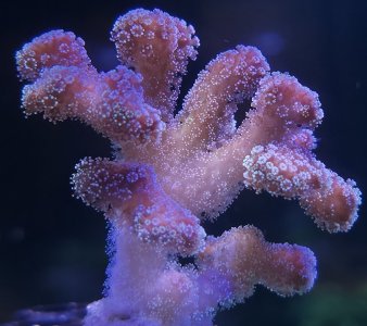 20250923_214436.jpg