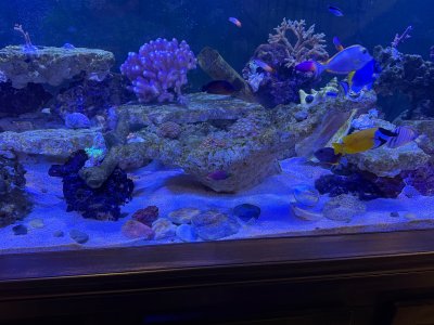 IMG_4680.jpeg