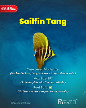 PR Fish Profile.zip - 6.png