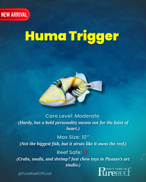 PR Fish Profile.zip - 7.png