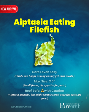 PR Fish Profile.zip - 14.png