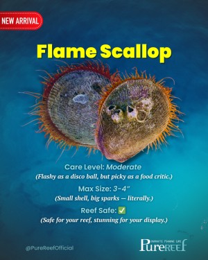 PR Fish Profile.zip - 4.png