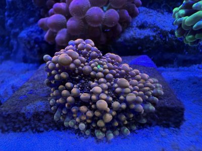IMG_8832.jpeg