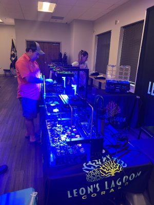 IMG_6075.jpeg