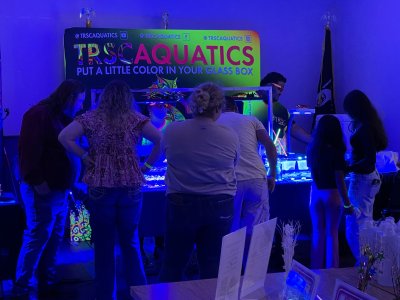 IMG_3571.jpeg