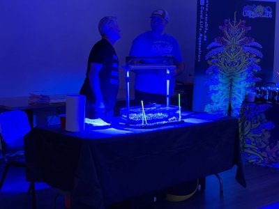 IMG_3568.jpeg