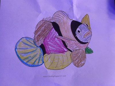 IMG_3573.jpeg