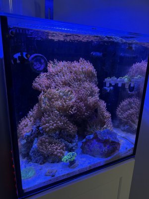 IMG_8818.jpeg