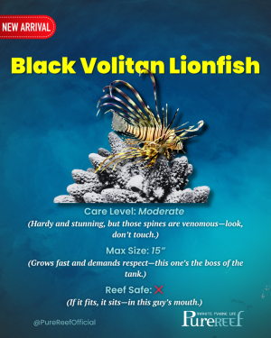 PR Fish Profile.zip - 6.png