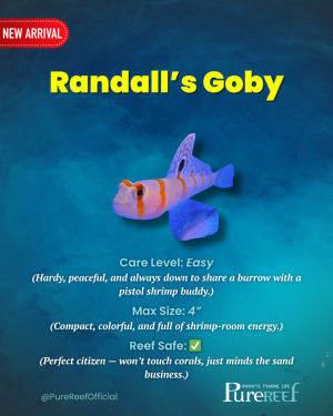 PR Fish Profile.zip - 7.png