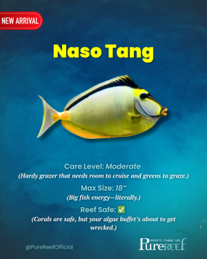 PR Fish Profile.zip - 10.png