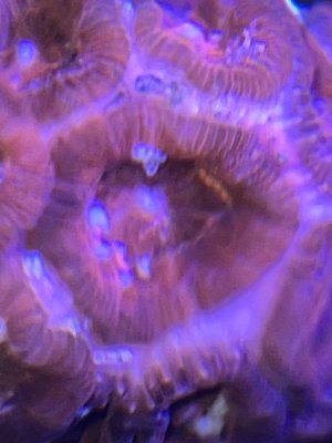 IMG_4891.jpeg