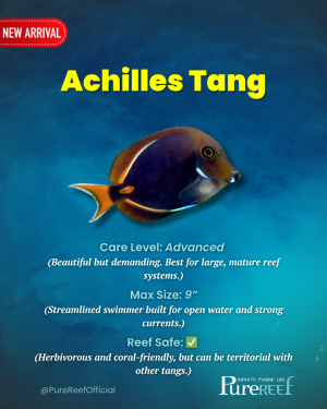 PR Fish Profile.zip - 7.png
