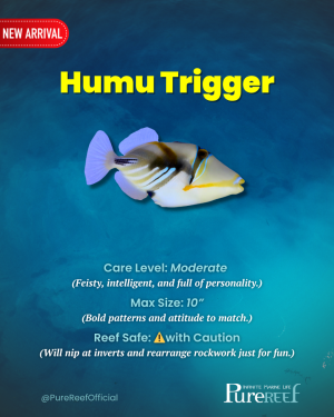PR Fish Profile.zip - 3.png